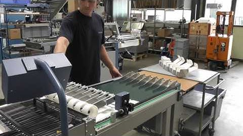 BSR 550 Servo Business Cards