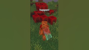 Ik ben hem voorbij gegaan!?