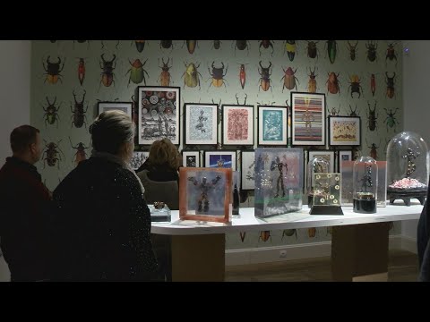 Videó: Előcsarnok A Művészettel Való Találkozáshoz