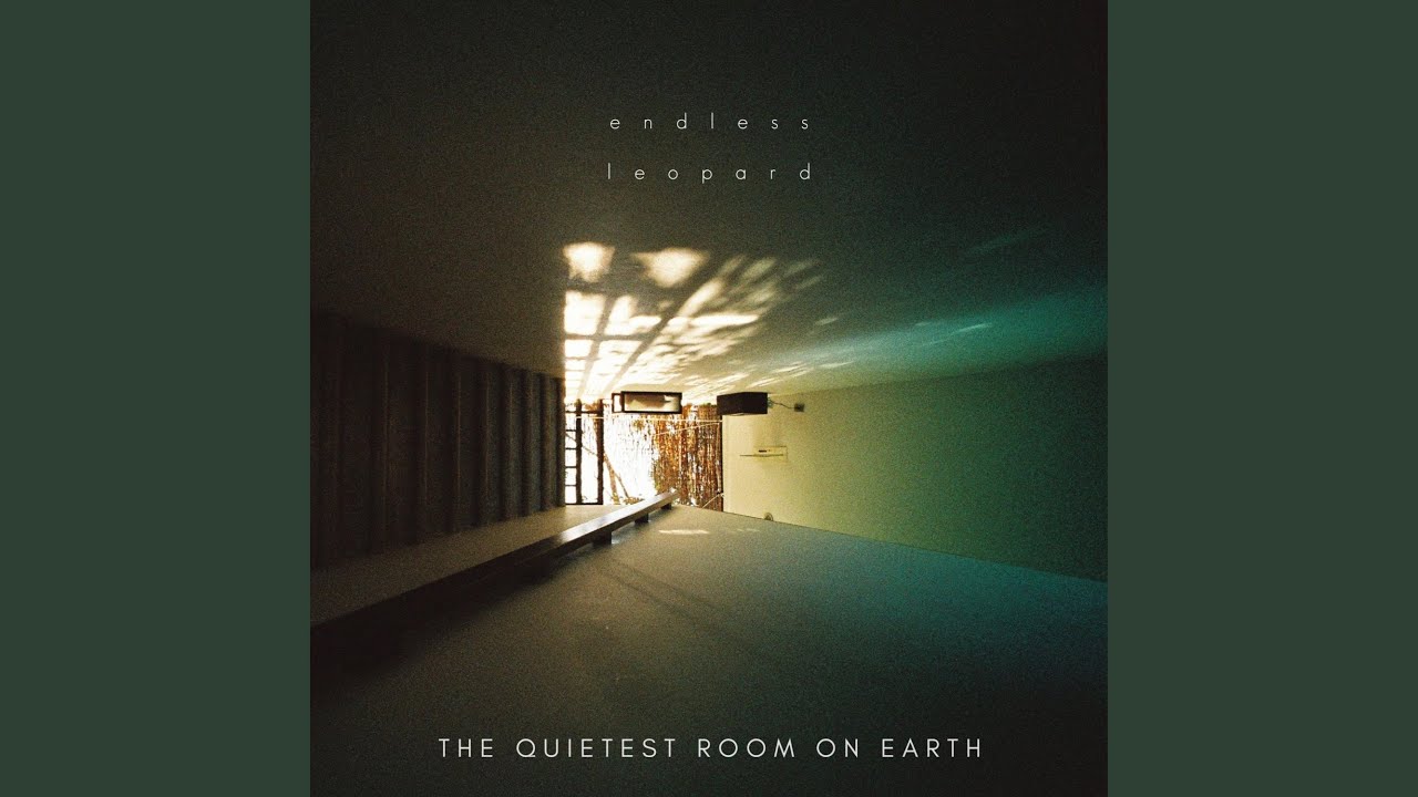 The Quietest Room on Earth