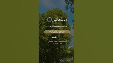 سورة الصافات [ 40 : 46 ] ~ الشيخ ناصر القطامي