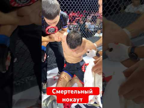 Смертельный нокаут #mma #видеостудия #мма #съемкифильма #ufc #фудфотограф #бокс #фотографалматы