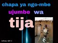 Nyanda Japani Ujumbe Wa Tija Namba 2 Mbasha Studio 0755936197 Nyanda Japani Ujumbe Wa Tija Namba 2 Mbasha Studio 0755936197