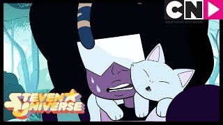 Steven Universe | Garnet and Steven Save The Kittens | Pool Hopping | Cartoon Network