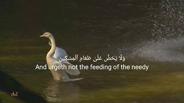 Surat Al-Maun Fatih Seferagic || سورة الماعون فاتح سفيرجيك