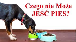 Czego nie Może JEŚĆ PIES