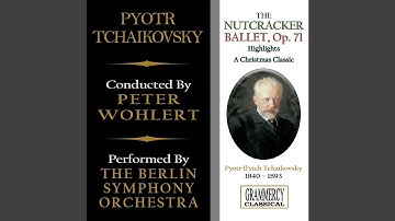 The Nutcracker, Ballet, Op. 71: Scene No. 8, The Journey Through the Snow: The Forest of Fir...