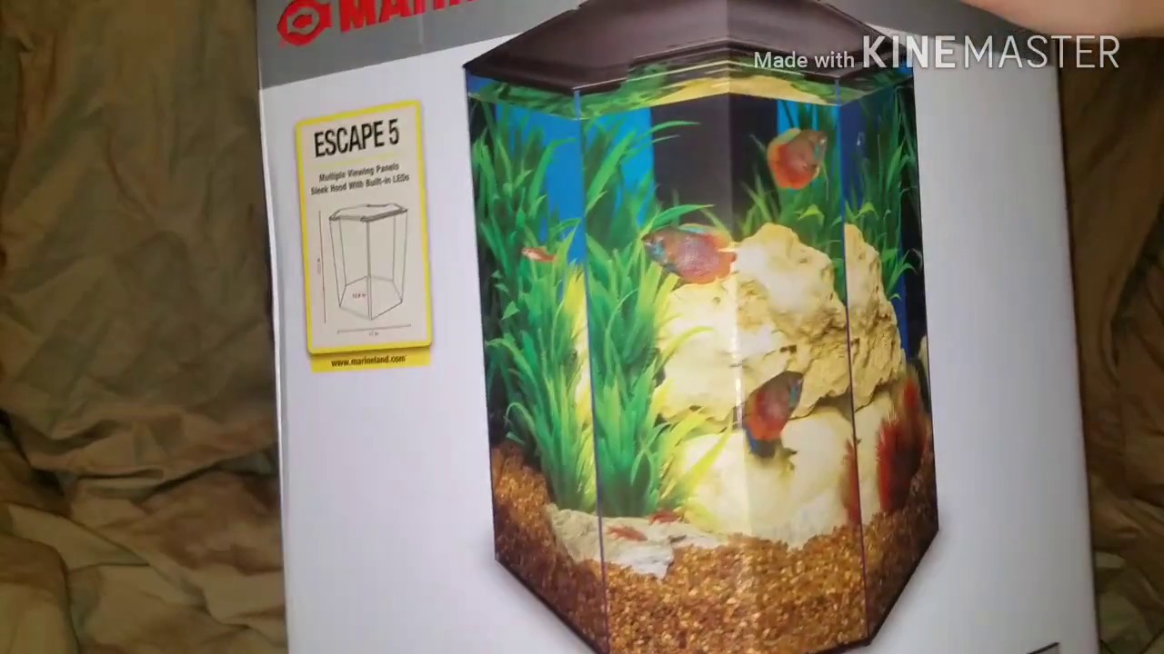 Marineland Escape 5 unboxing - YouTube