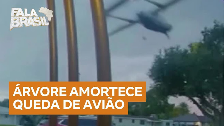 Árvore amortece queda de avião na Flórida; quatro pessoas ficaram feridas
