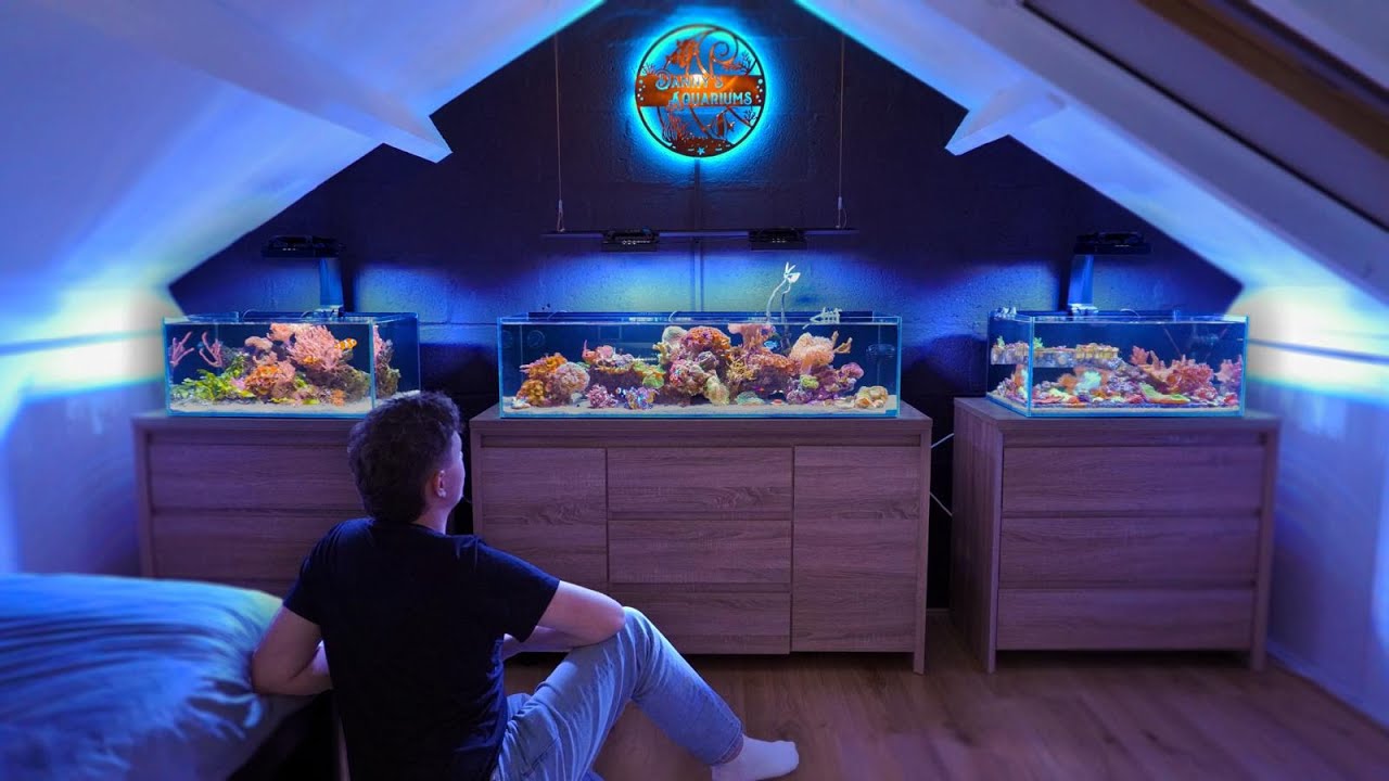 БЕЗ скиммера, БЕЗ фильтра. Аквариумы Дэнни раскрывают свои СЕКРЕТЫ