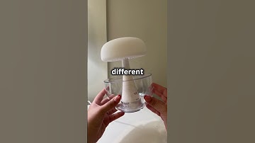 The Humidifier That Changed Everything