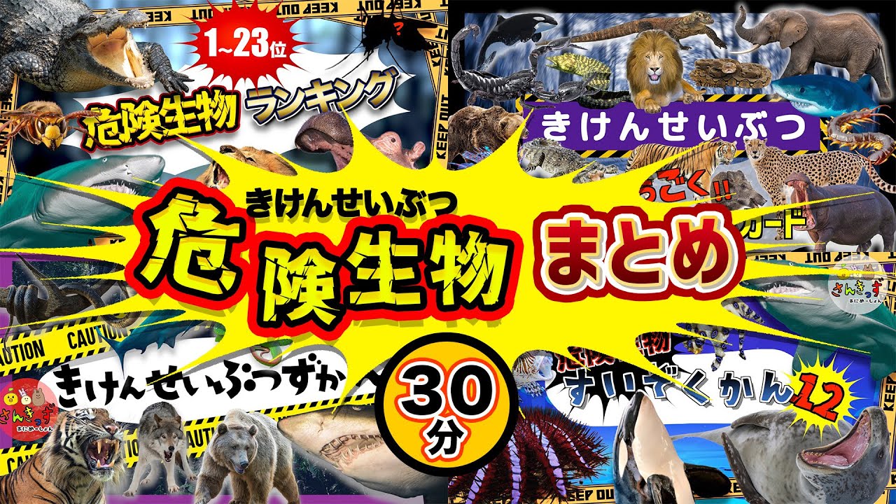 【危険生物３０分】危険な生き物たちの詰め合わせ【子ども向け危険生物アニメ】海の危険生物や山の危険生物が大集合！サメ コモドオオトカゲ スズメバチ