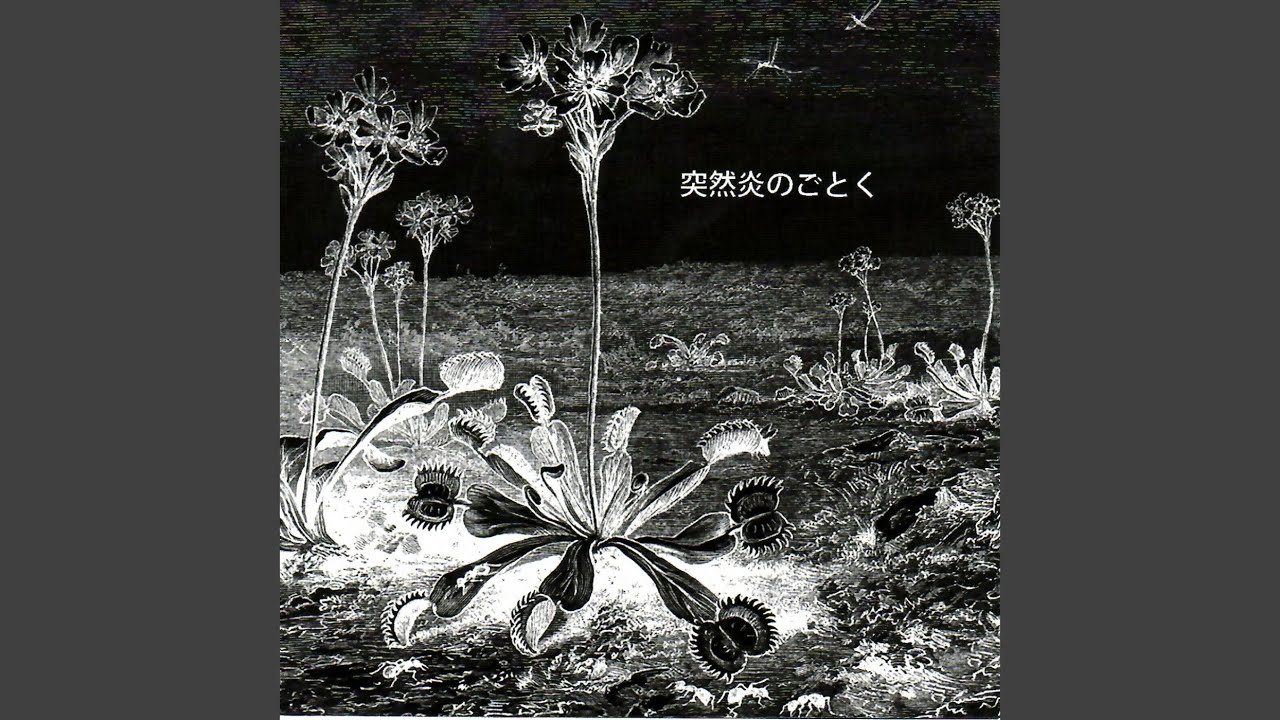 LSD March — After the Storm (Alternate Version) (Music Video) | Dork