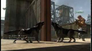 Call of duty Black ops Attack Dogs Fail