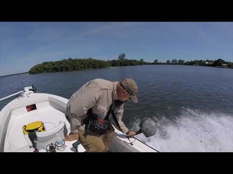 video   17ft boat medium engine SoundFX Library by WatsonWu com