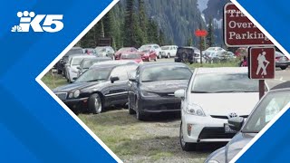 Timed entry at Mount Rainier National Park begins