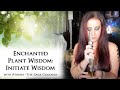 Online Sagittarius New Moon Ritual - Initiate Wisdom