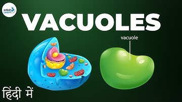 Cells - Lesson 13 | Vacuoles - in Hindi (हिंदी में ) | Infinity Learn