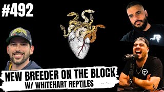 FINDING YOUR LANE IN THE BALL PYTHON GAME | NEW BREEDER ON THE BLOCK LIVE