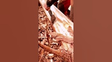 cool technique for peeling tree bark with simple tools #shorts