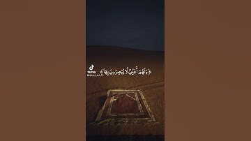 فارس عباد 🤍 #قران #تلاوات_خاشعة