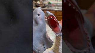 Shark Puppet Gets Cloned