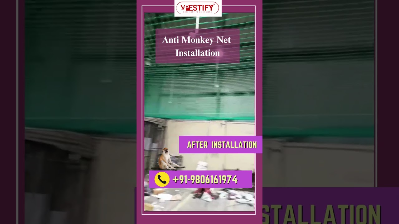 Anti Monkey Net Installation in Delhi NCR | 