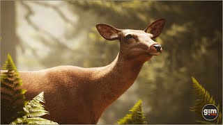 Red Deer animation preview