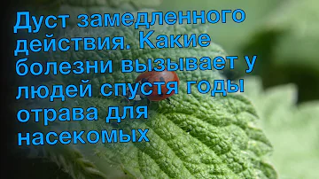 Дуст замедленного действия. Какие болезни вызывает у людей спустя годы отрава для насекомых