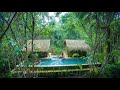 Building the Most Beautiful Bamboo Swimming Pool for My Jungle Bamboo Villa