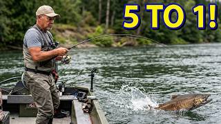 The Score is Gene 5 Fish 1