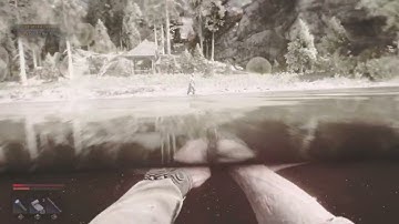 Dying Light: The Beast Lighting Flickering Issue