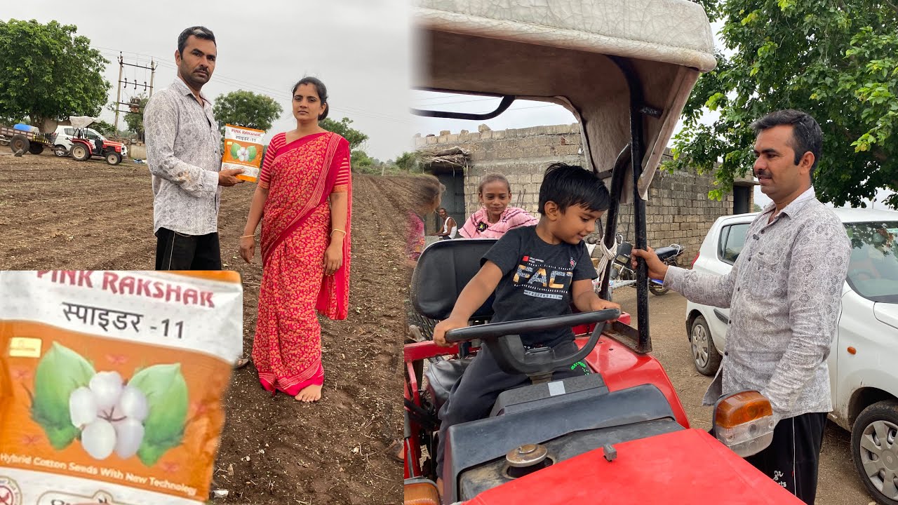 આપણે કયુ કપાસ નુ બીયારણ વાવીયુ