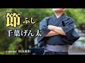 新曲「節(ふし)」千葉げん太 cover HARU