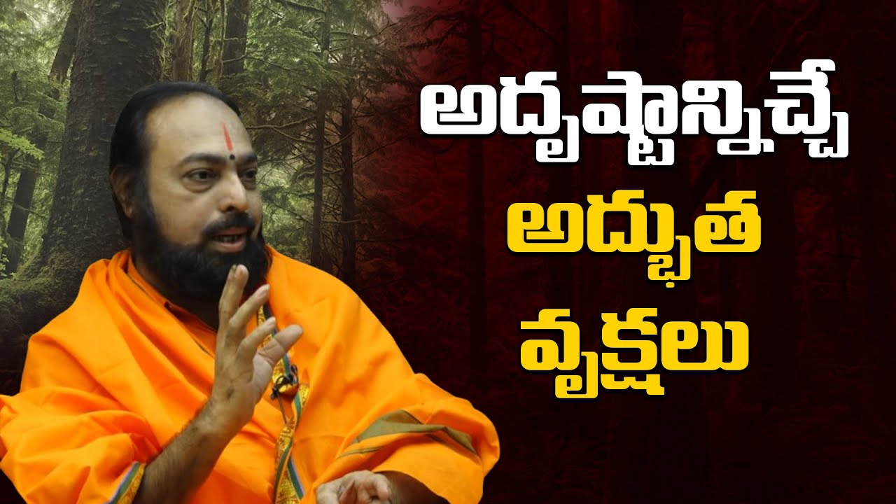అదృష్టాన్నిచ్చే అద్భుత వృక్షాలు | Life-Changing Tips By Sri Devi Das 