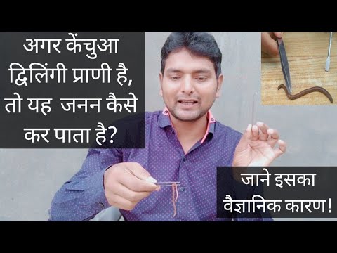 अगर केंचुआ द्विलिंगी प्राणी है, तो यह जनन कैसे कर पाता है? Biology Meraj by sir