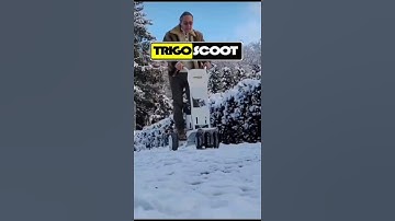 Transform Self-balancing scooters SEGWAY, NINEBOT, INMOTION etc. Into useful micro cargo scooters.