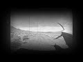 sky pilot