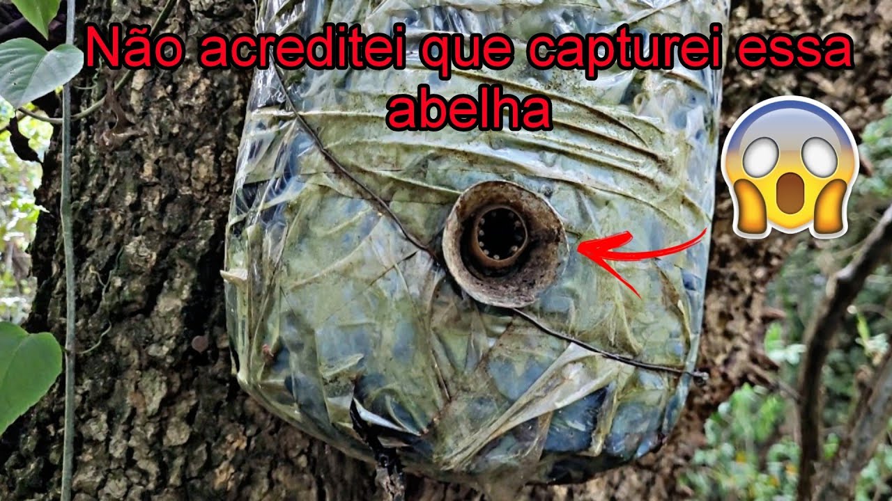 UAU!NÃO ACREDITEI QUE CAPTUREI ESSA ESPÉCIE(Muitas Capturas)