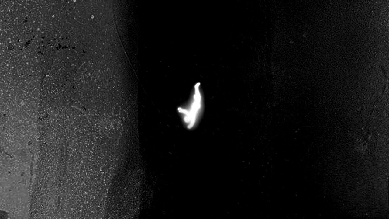 Toam - Les Vitres et Les Plafonds