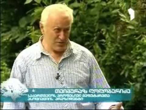 ფუტკრის პროდუქტები - Chveni ferma 02 - Mefutkreoba Part 3