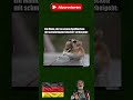 #shortsvideo  #ytshorts  #trending  #lol  #humor #witzig #spaß #deutschland #germanhumor #viralvideo