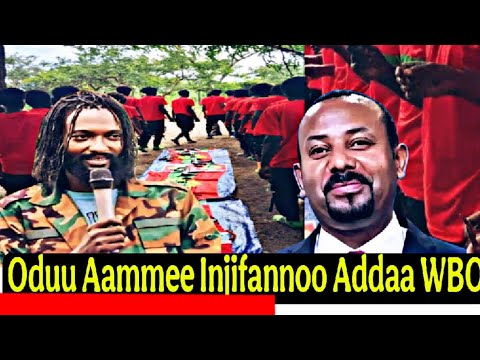 Oduu Aammee Guyyaa Hardhaa Fuulbana 14 2025 Injifannoo Cululuqaa Addaa WBO Afaan Oromoo 