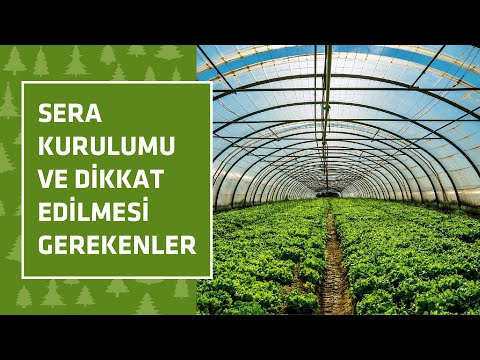 Video: Seralar İçin Su - Sera Sulama Sistemleri Hakkında Bilgi