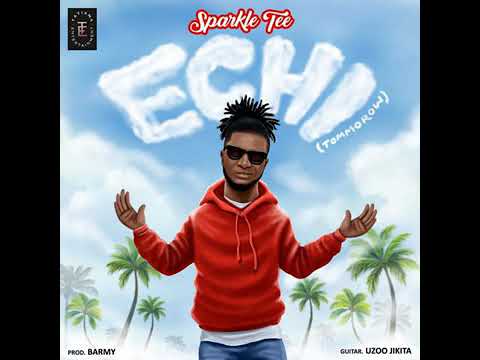 Sparkle tee Echi