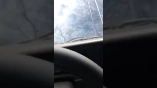 IMG 3262