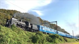 2016年11月 SL北びわこ号と117系国鉄色団臨 HD