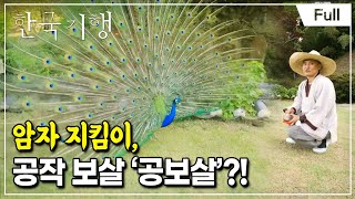 [Full] 한국기행  나의 친애하는 동물 친구들 제4부 기묘한 동거