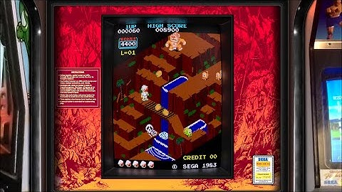 My Congo Bongo Realistic Arcade Bezel with HSM