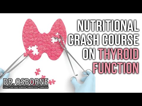 Nutritional Crash Course on Thyroid Function